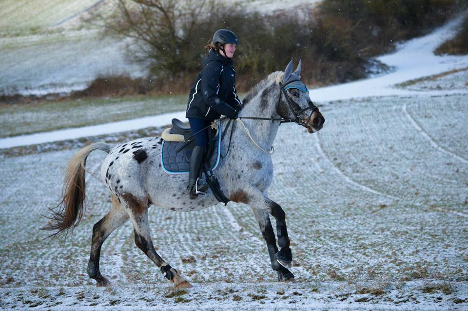 15871827_1381097388591631_4734152934201786207_n